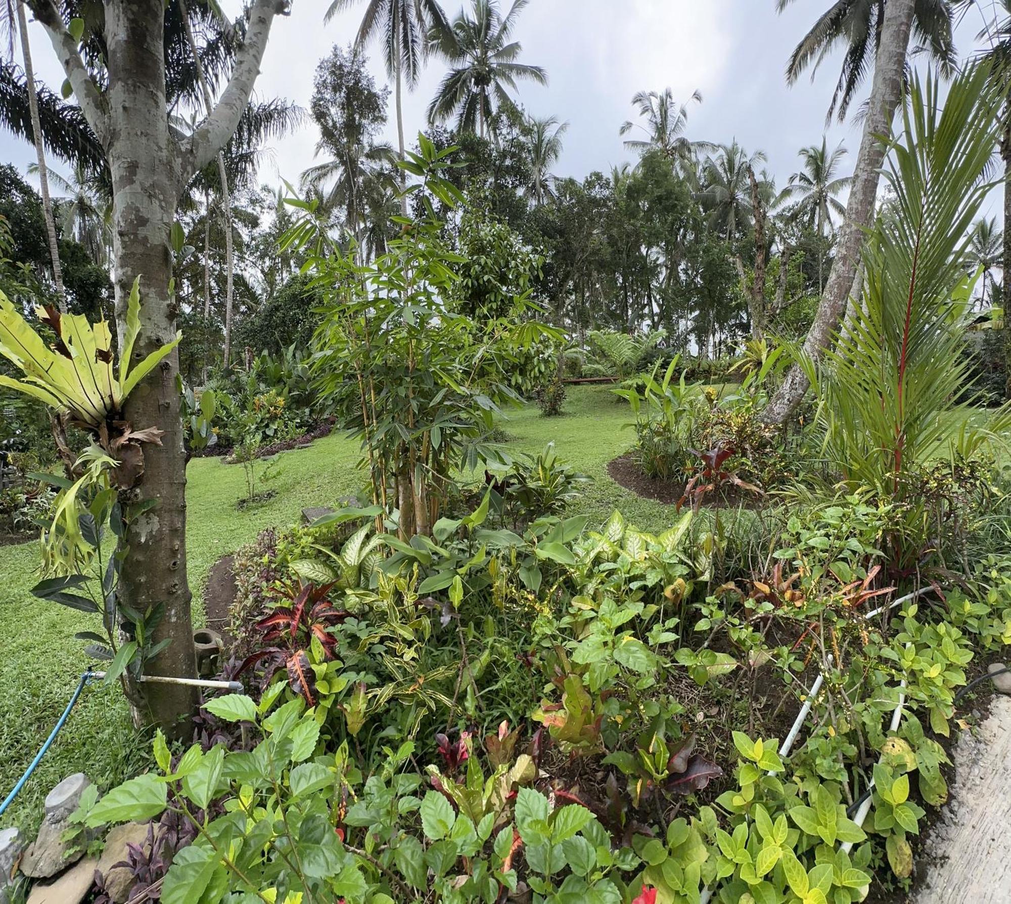 Kaja Villa Ubud Exteriör bild